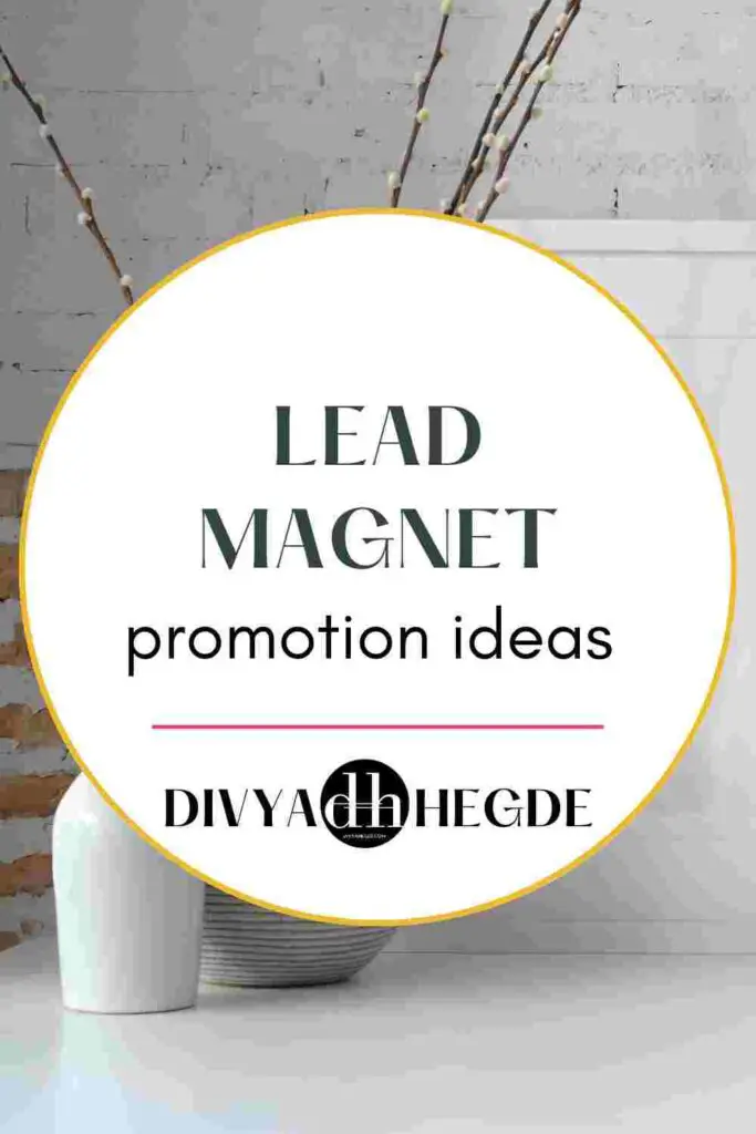 how-to-promote-lead-magnet-image